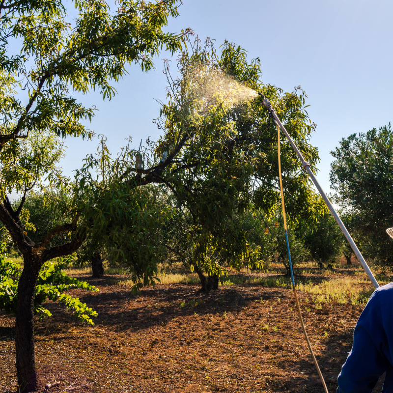 Tratamientos Fitosanitarios y alrededores